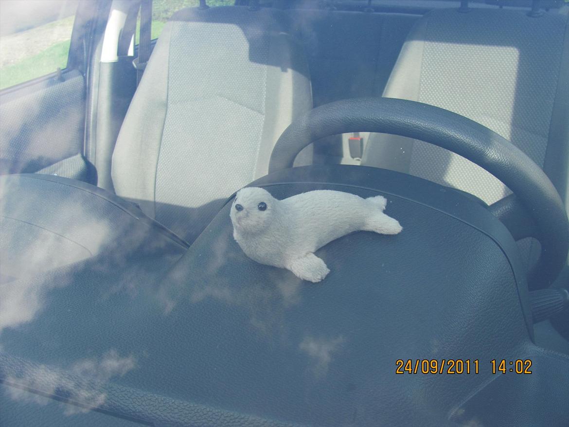 Fiat Punto II Type 188 billede 8