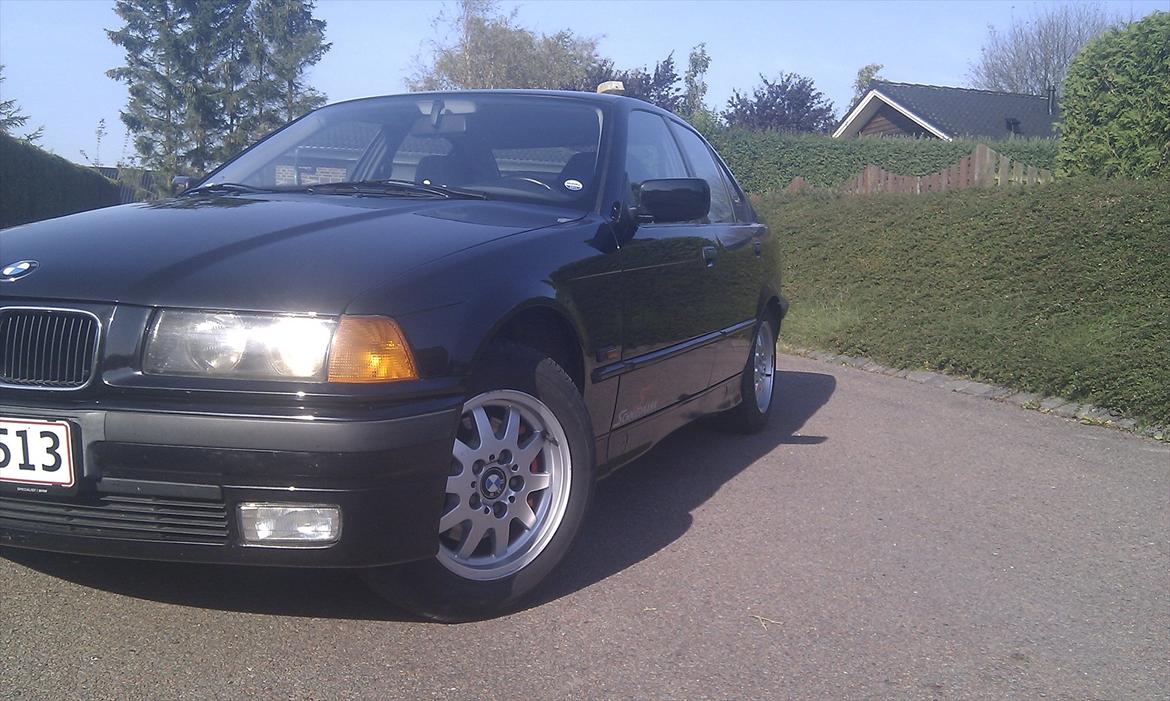 BMW 323I billede 3