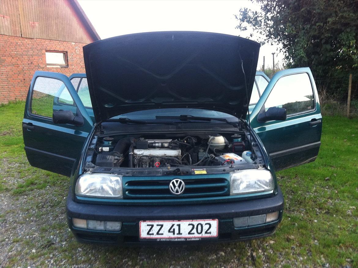 VW Vento 2,0 Vinter Bil billede 4