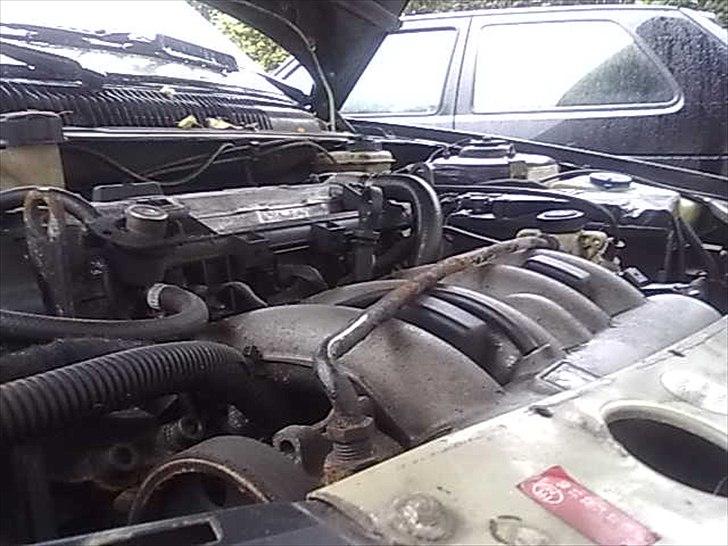 Peugeot 205 GTI billede 8