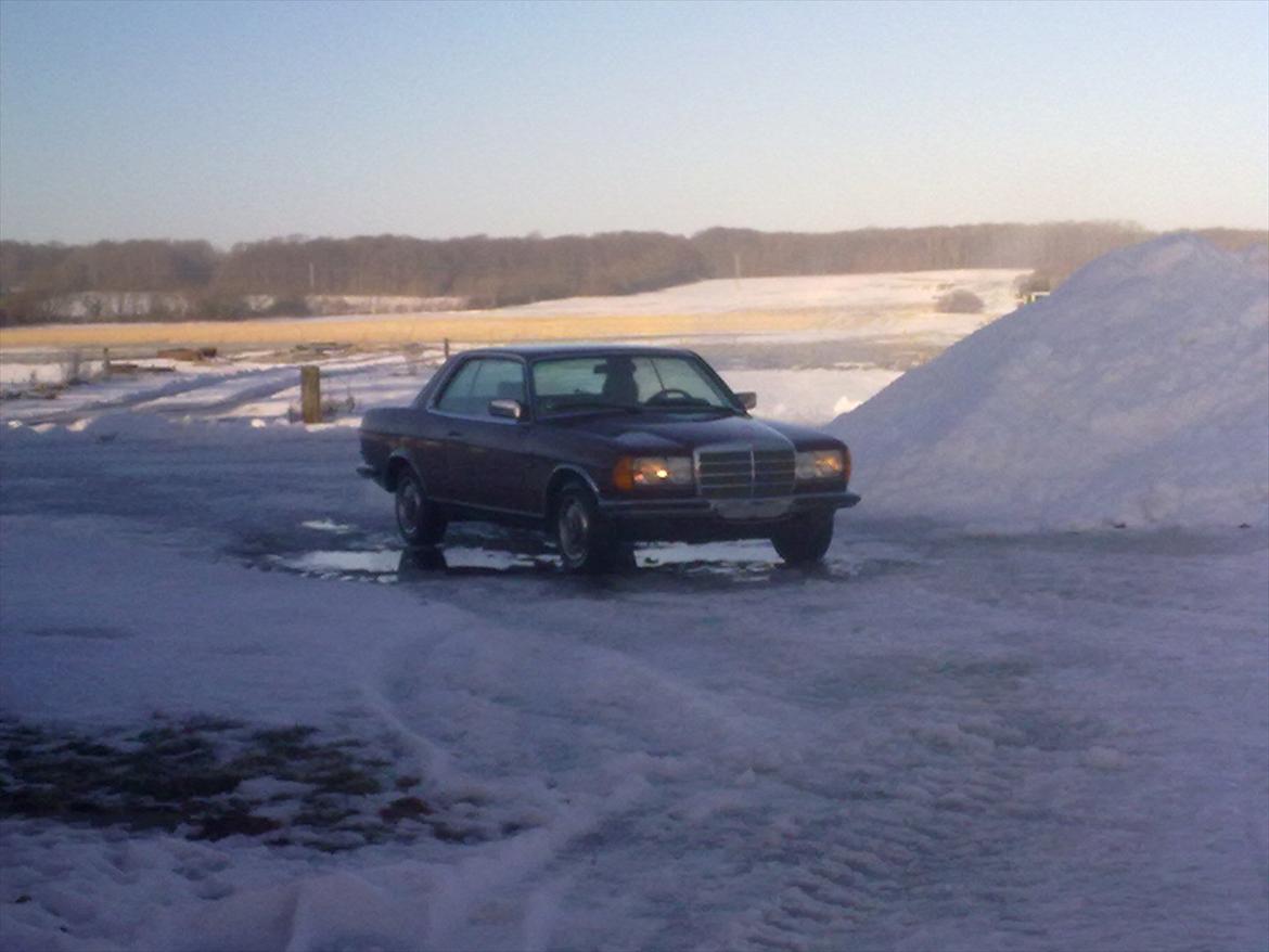 Mercedes Benz 280ce w123 billede 2