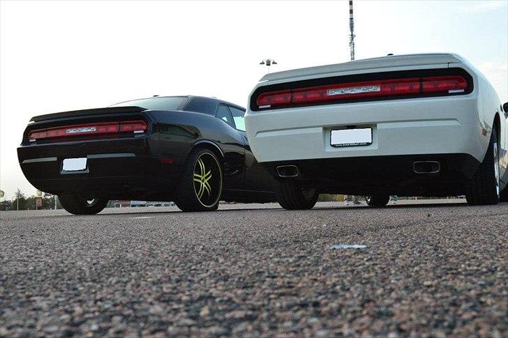 Dodge Challenger [Tidl. bil] billede 13