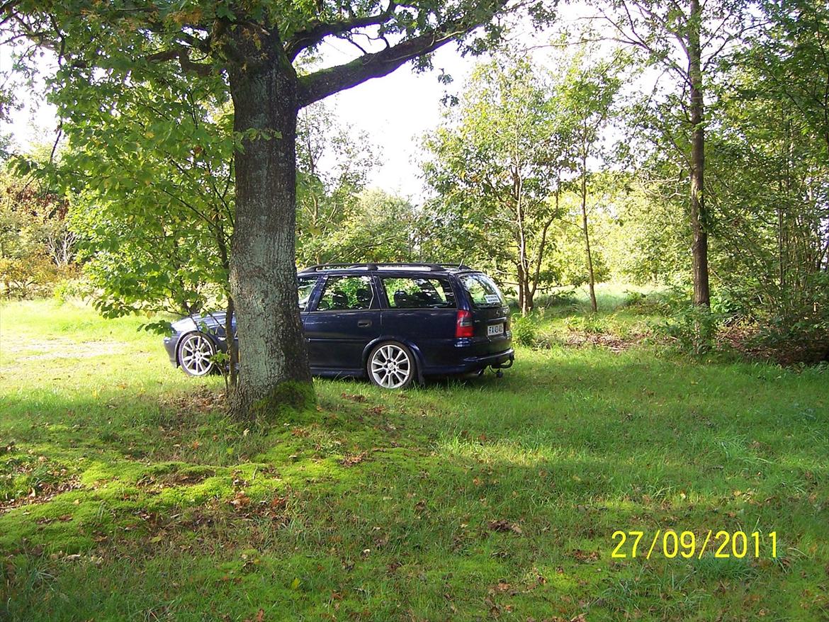 Opel vectra b wagon DØD. billede 17