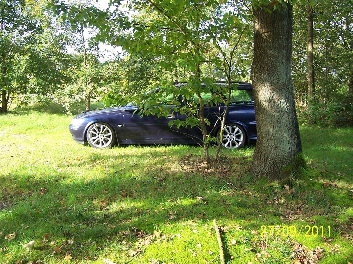 Opel vectra b wagon DØD. billede 18