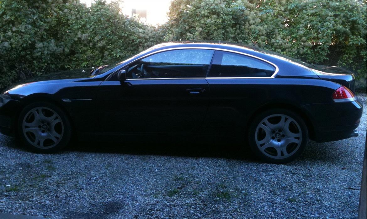 BMW 645Ci Coupe billede 10