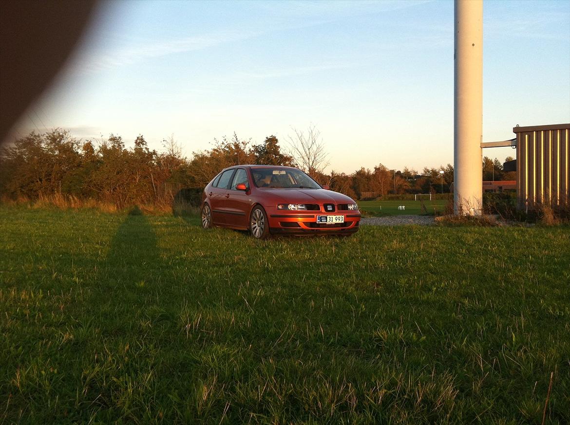 Seat Leon 1,6 R.I.P billede 4