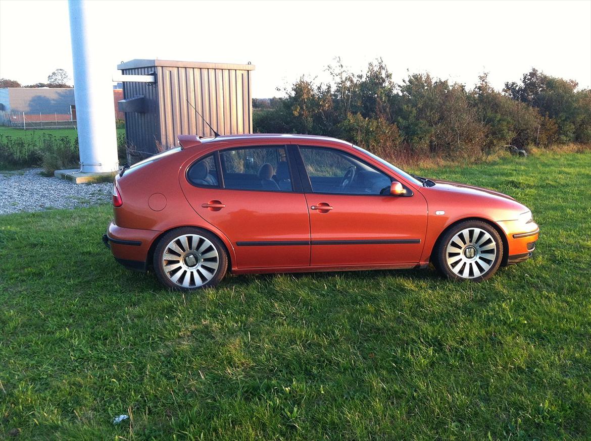 Seat Leon 1,6 R.I.P billede 10