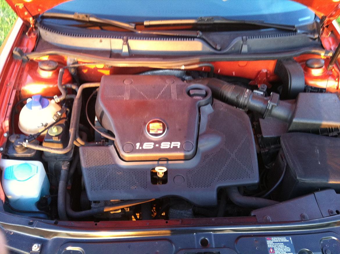 Seat Leon 1,6 R.I.P - ikke en oliedråbe er løbet forkert :-) billede 13
