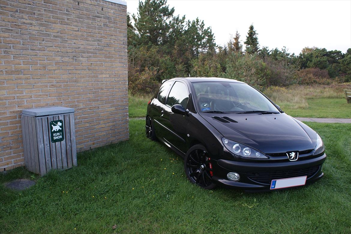 Peugeot 206 2.0 GTi 16V *SOLGT* billede 1