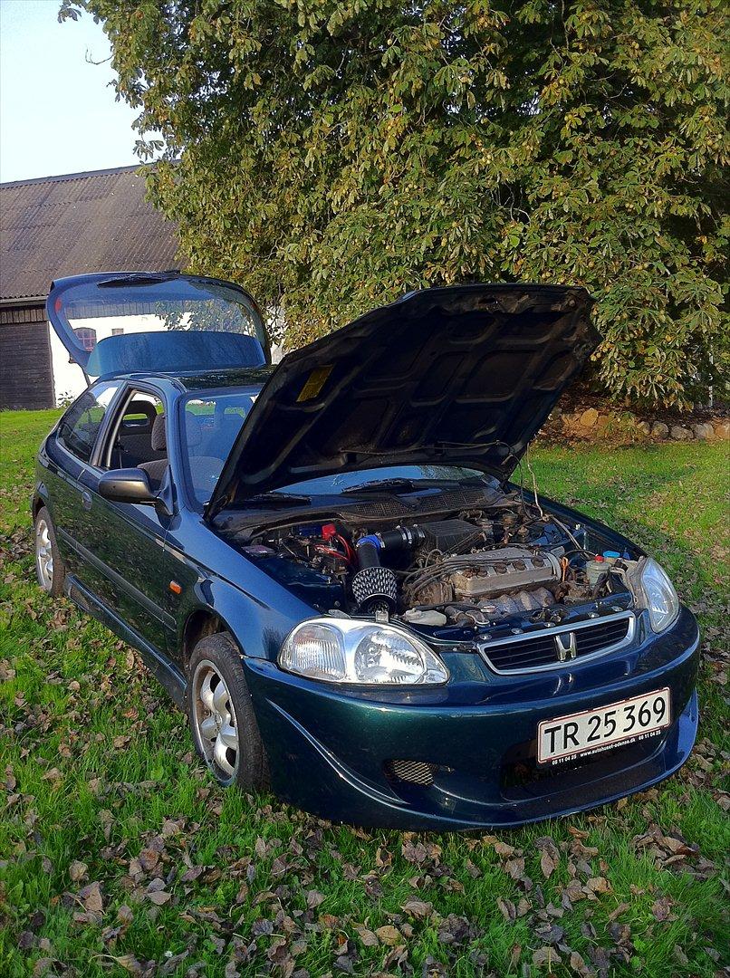 Honda Civic  billede 11