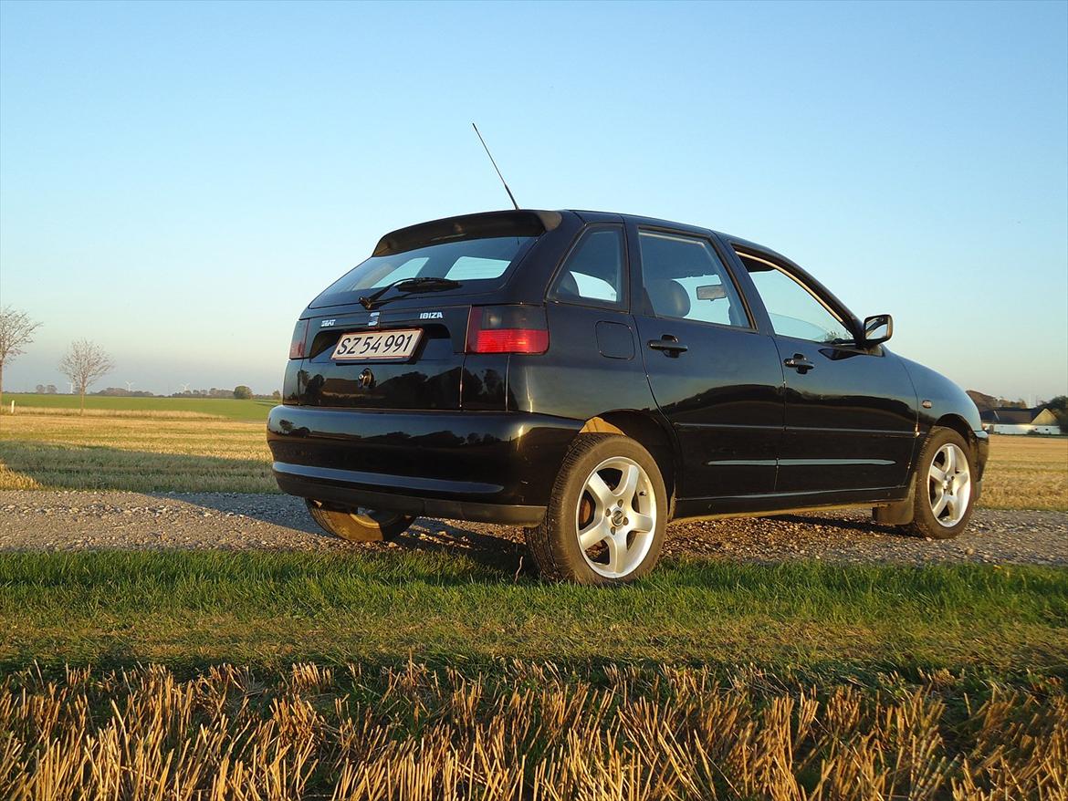 Seat ibiza billede 2