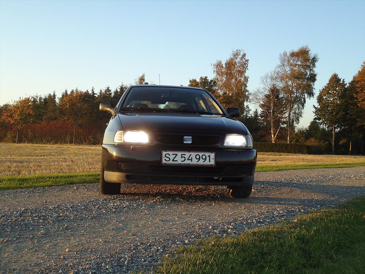 Seat ibiza billede 5