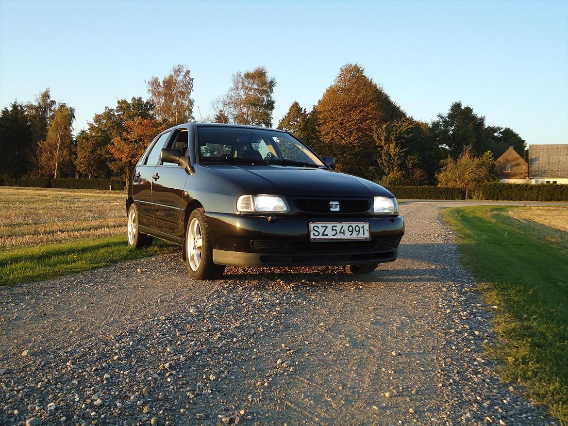 Seat ibiza billede 12