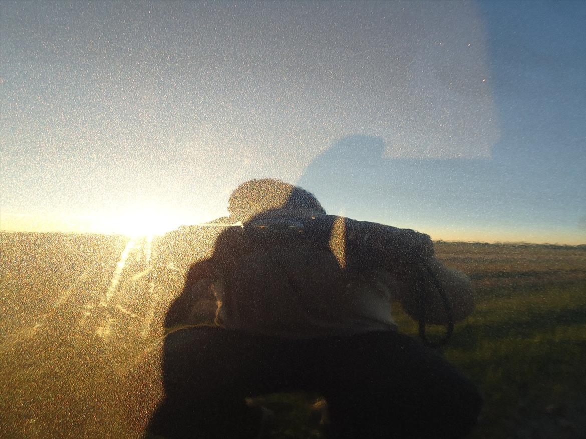 Seat ibiza billede 13