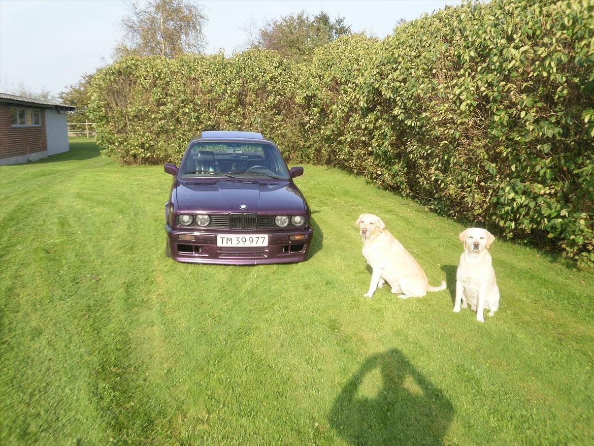 BMW E30 320i / 325i - 6/5-2012 billede 12