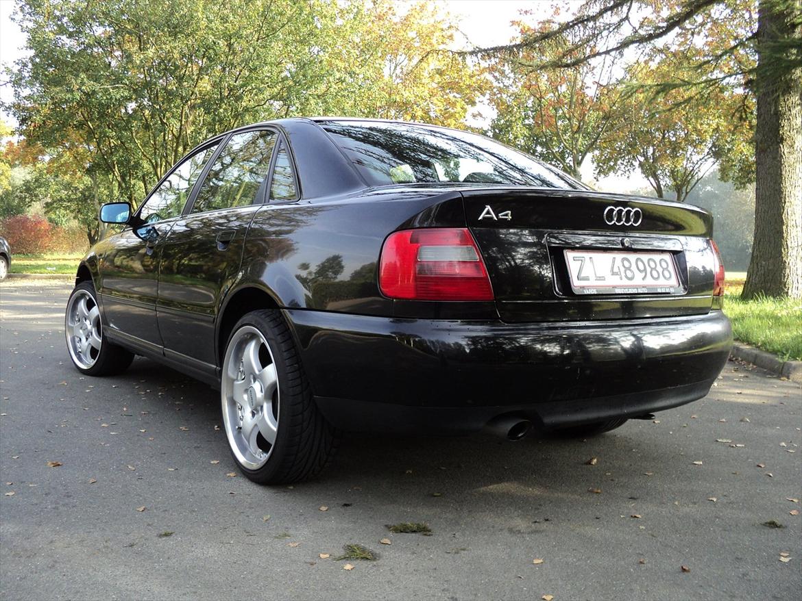 Audi A4 billede 2