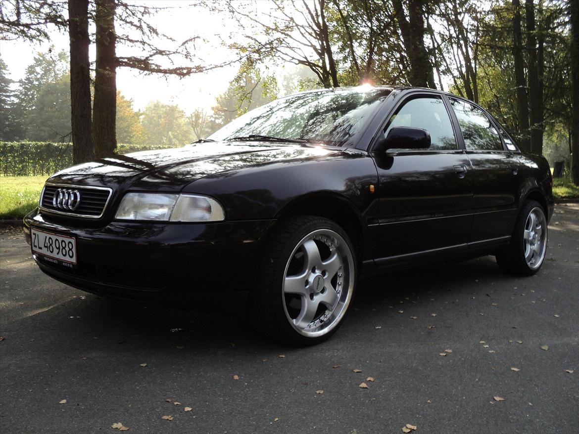 Audi A4 billede 12