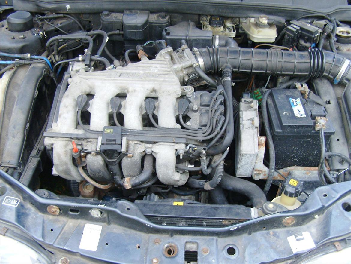 Fiat Bravo billede 11