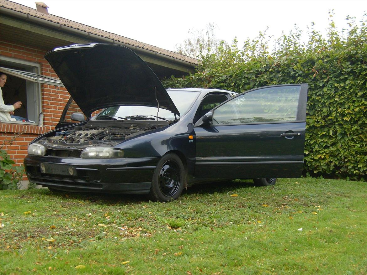 Fiat Bravo billede 12