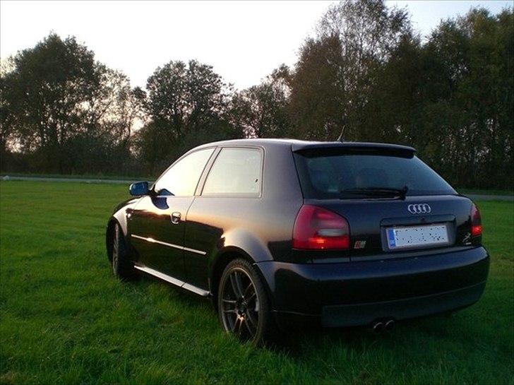 Audi S3 8L 1.8T billede 13