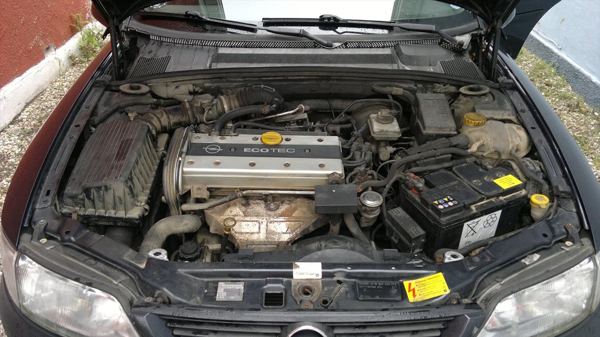 Opel Vectra B byttet - Før! billede 10