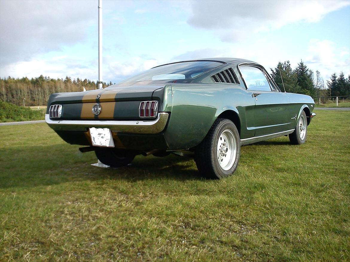 Amerikaner Ford Mustang Fastback GT 350 H Clone ------ SOLGT- billede 6