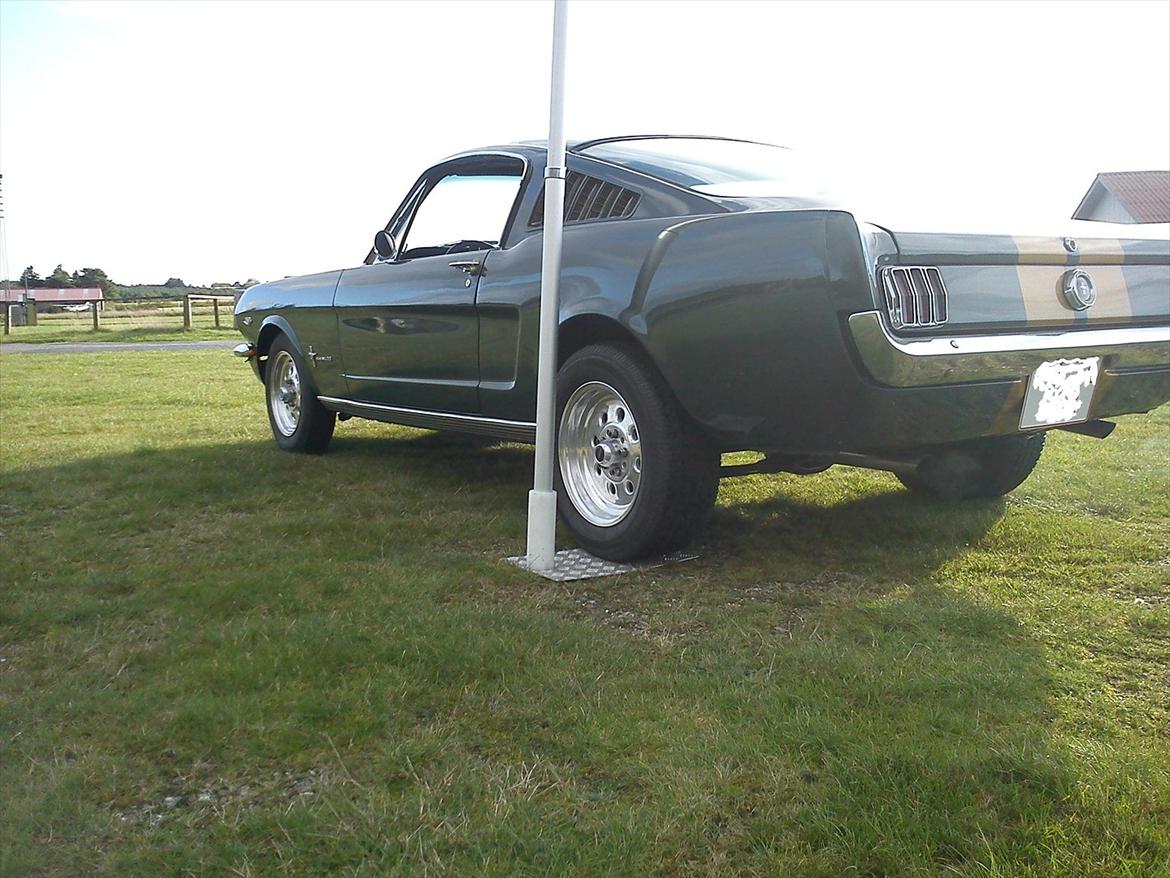 Amerikaner Ford Mustang Fastback GT 350 H Clone ------ SOLGT- billede 7