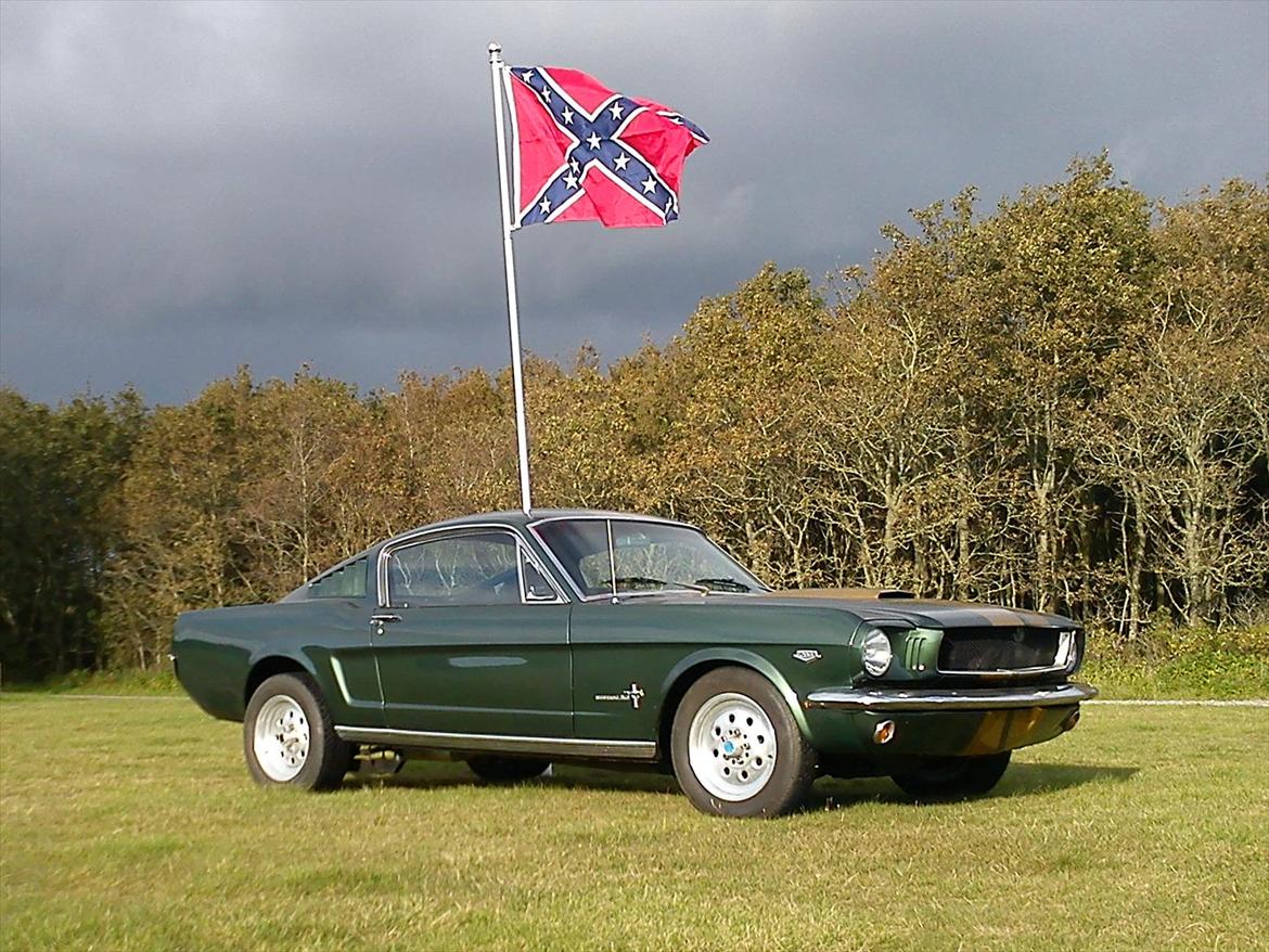 Amerikaner Ford Mustang Fastback GT 350 H Clone ------ SOLGT- billede 10