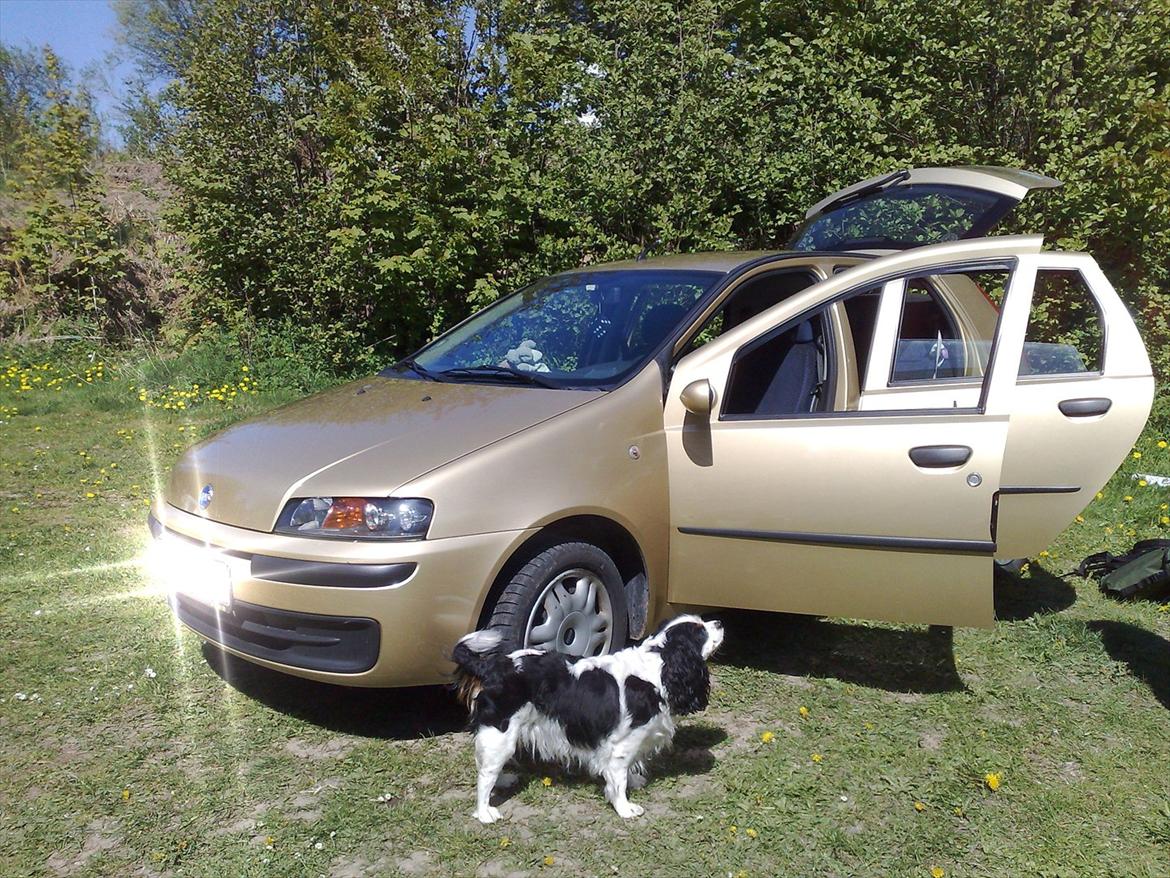 Fiat Punto Mk II 1,2 16V HLX billede 11