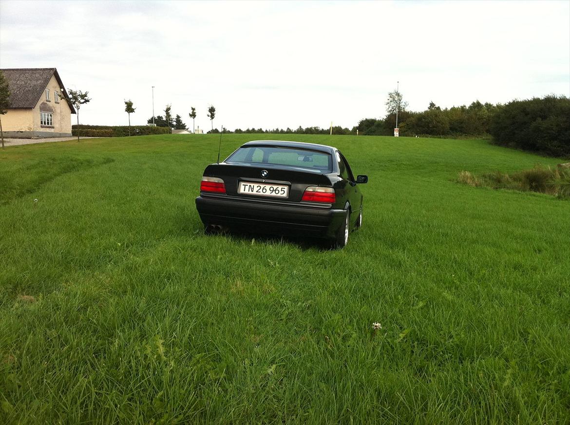 BMW E36 325 coupe billede 8