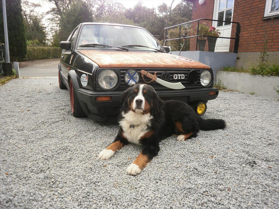 VW Golf GTD øko luder billede 16