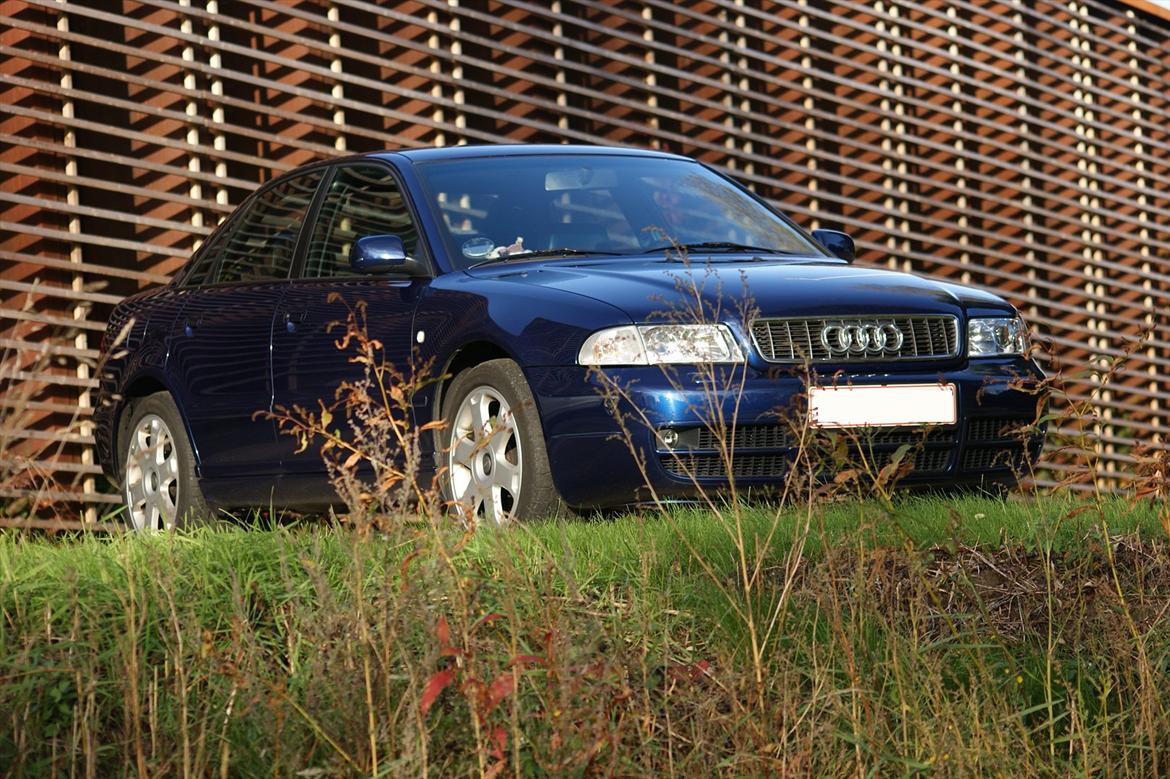 Audi S4 billede 1