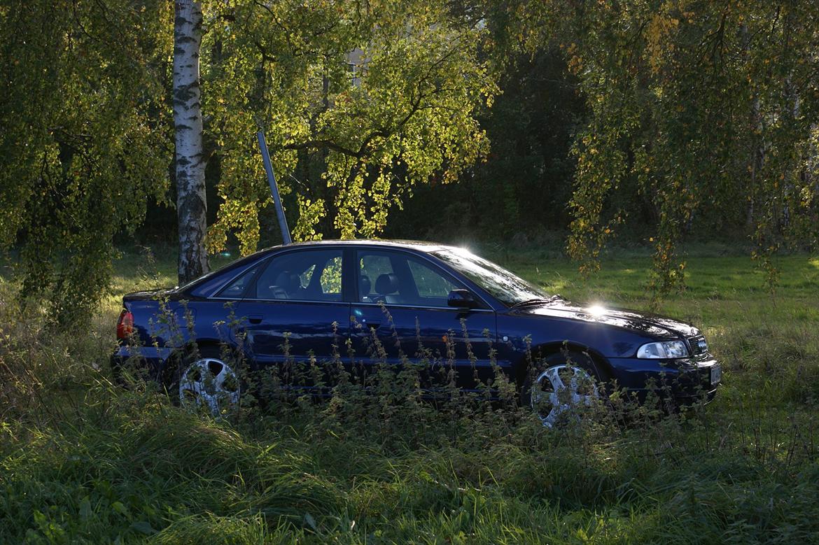 Audi S4 billede 7