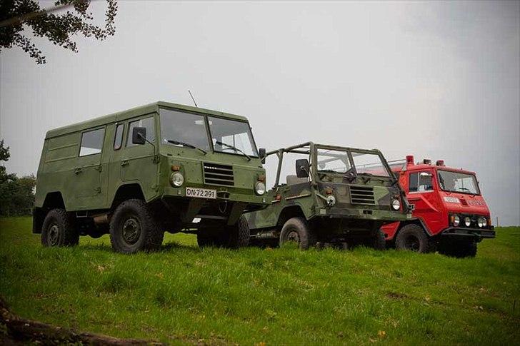 Volvo C303 Valp - Sammen med brodrerne billede 15