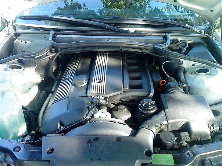 BMW  e46  320i  billede 8