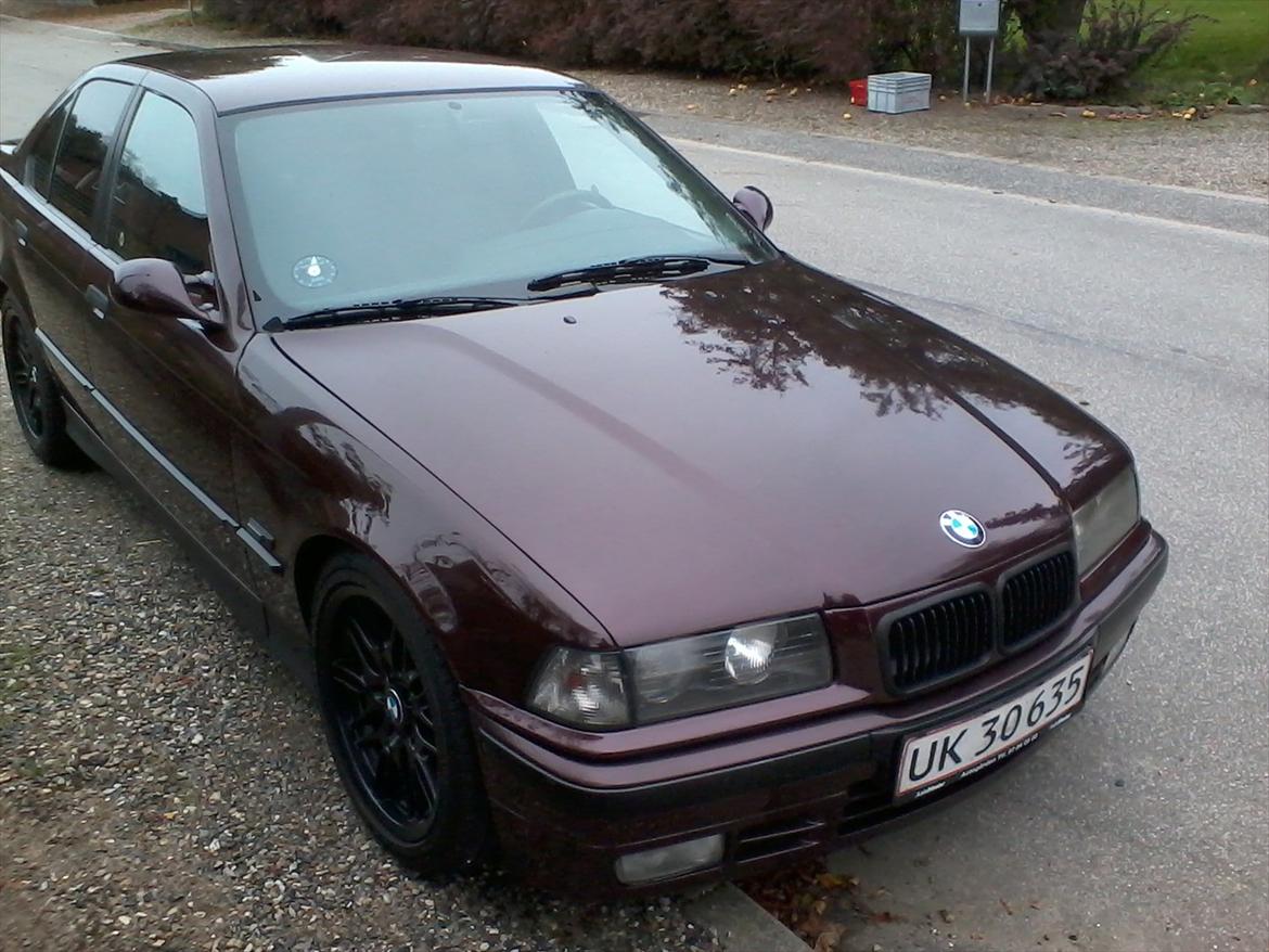 BMW E36 320i / SOLGT - Sådan ser den ud foreløbigt, mere M-gejl kommer ;) billede 2
