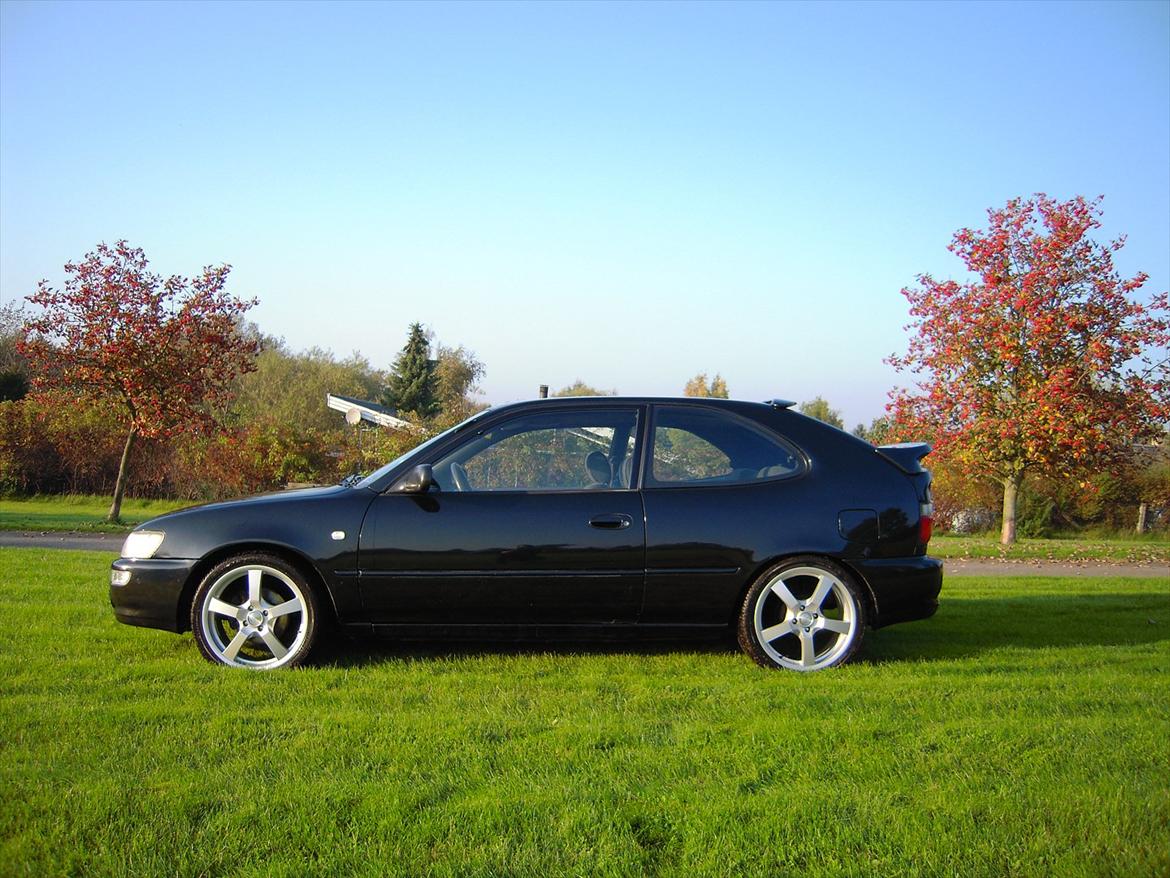 Toyota Corolla billede 1