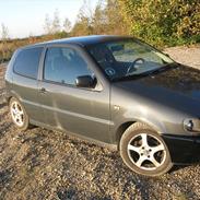 VW Polo 6n1 1,6 8v