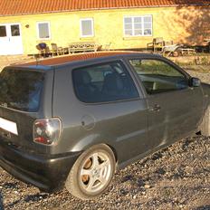 VW Polo 6n1 1,6 8v