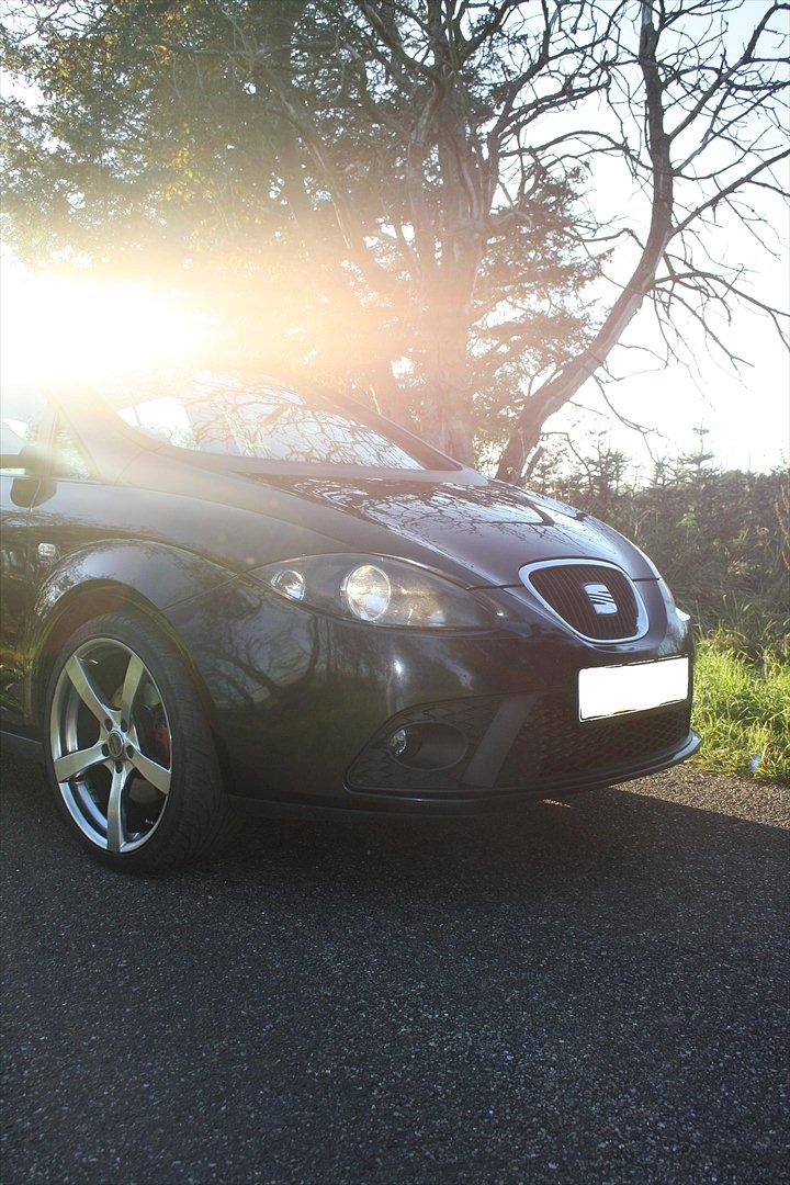 Seat Altea FR 170Hk billede 6