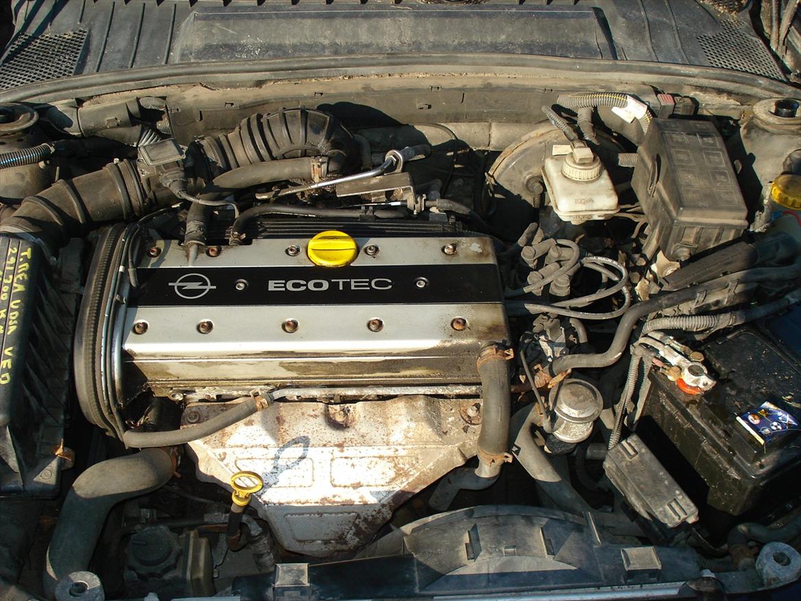 Opel Vectra B 1,8 16V(vinterbil) billede 9