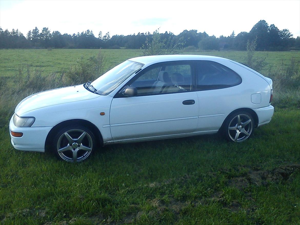Toyota Corolla 1.3 XLi billede 8