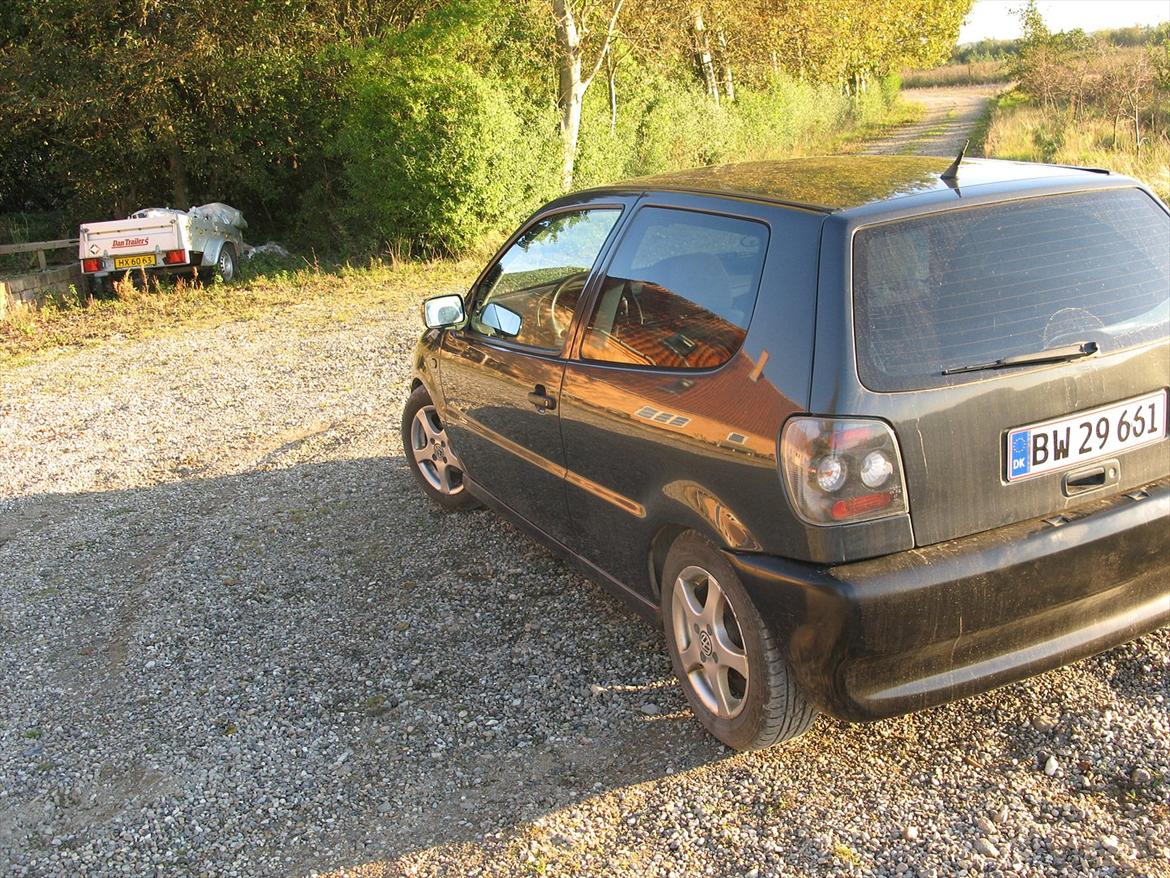 VW Polo 6n1 1,6 8v billede 5