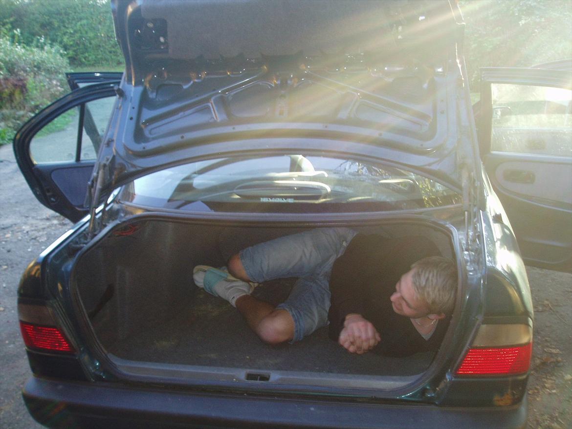 Nissan Primera LX billede 8