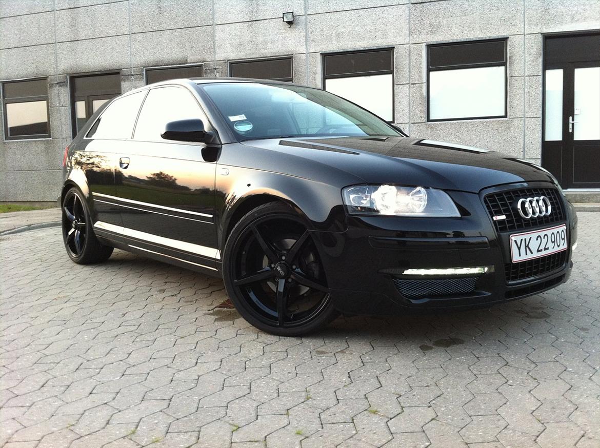 Audi A3 8P TDI - Landberg Edition billede 1