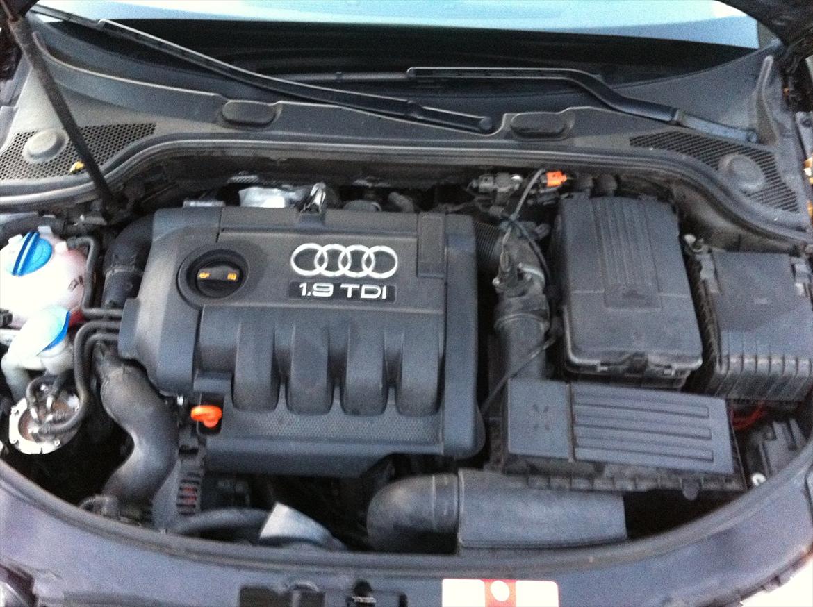 Audi A3 8P TDI - Landberg Edition billede 19