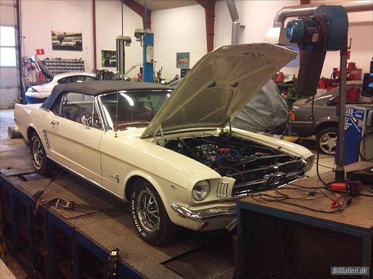 Ford Mustang Cabriolet billede 13