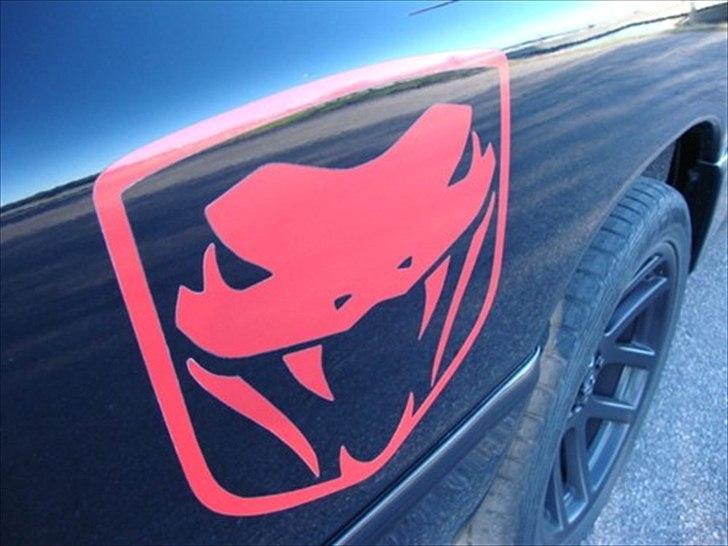 Dodge Ram Viper billede 6