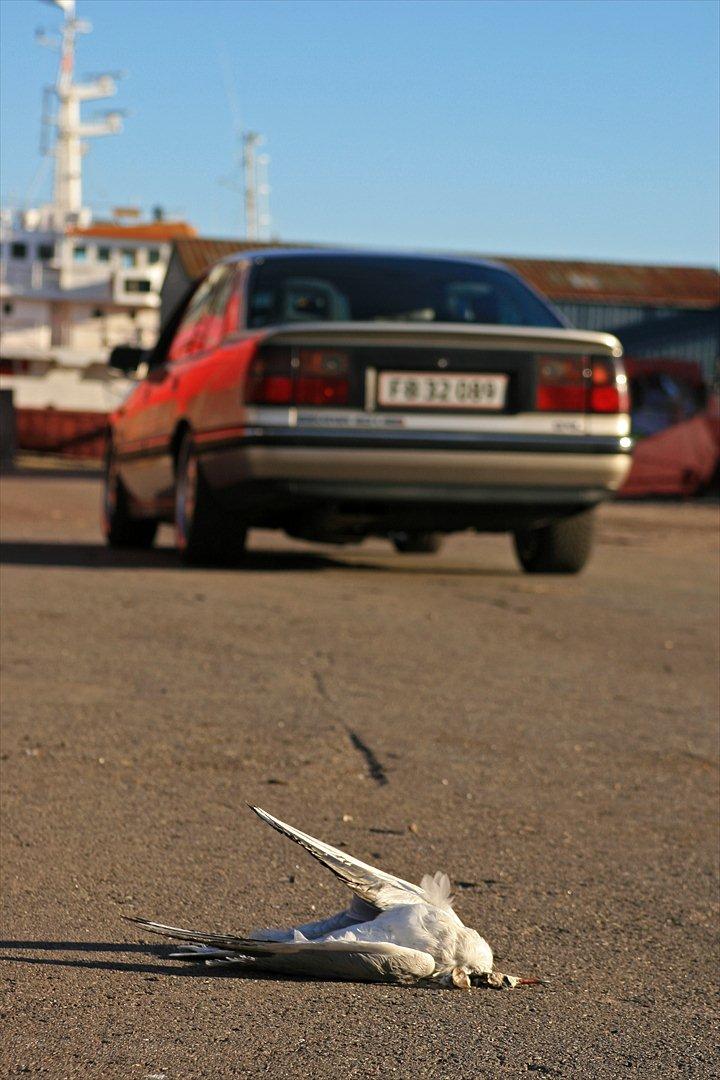 Opel Senator B - CD billede 15