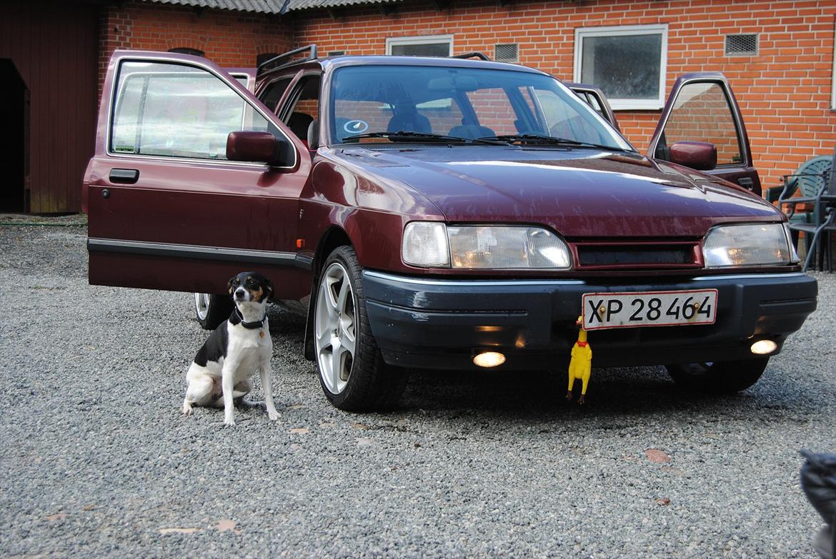 Ford Sierra 2.0i Ghia St.car *Den Grimme Kælling* - Forfra, med pynte-hund ved siden :o) billede 11